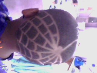 teia de aranha com a aranha